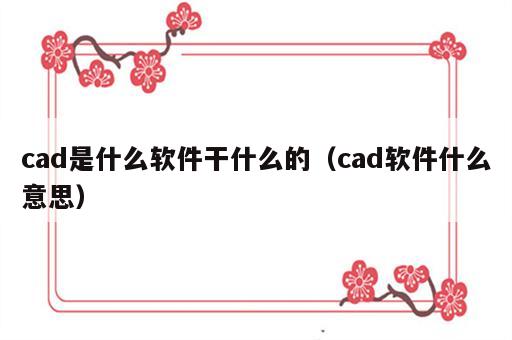 cad是什么软件干什么的（cad软件什么意思）