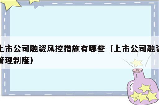上市公司融资风控措施有哪些（上市公司融资管理制度）
