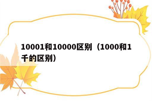 10001和10000区别（1000和1千的区别）