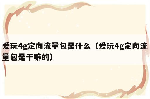 爱玩4g定向流量包是什么（爱玩4g定向流量包是干嘛的）