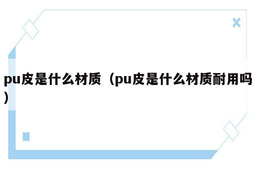 pu皮是什么材质（pu皮是什么材质耐用吗）