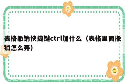表格撤销快捷键ctrl加什么（表格里面撤销怎么弄）