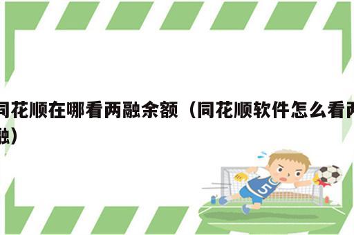 同花顺在哪看两融余额（同花顺软件怎么看两融）