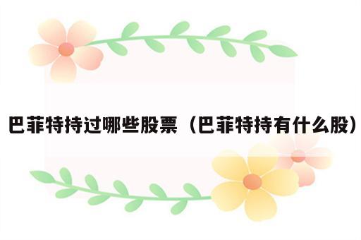 巴菲特持过哪些股票（巴菲特持有什么股）