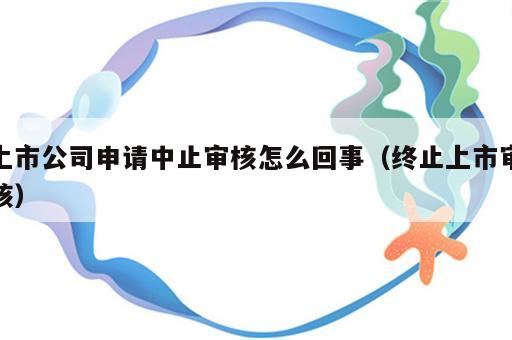 上市公司申请中止审核怎么回事（终止上市审核）