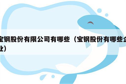 宝钢股份有限公司有哪些（宝钢股份有哪些企业）