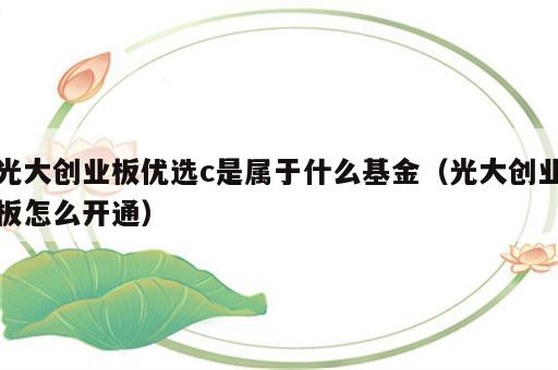 光大创业板优选c是属于什么基金（光大创业板怎么开通）