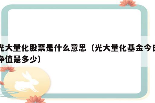 光大量化股票是什么意思（光大量化基金今日净值是多少）