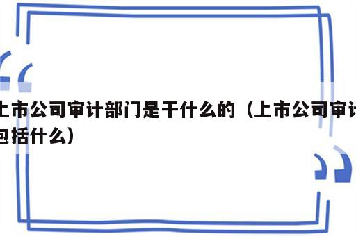 上市公司审计部门是干什么的（上市公司审计包括什么）