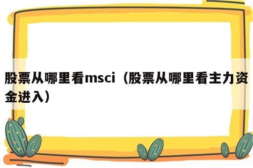 股票从哪里看msci（股票从哪里看主力资金进入）