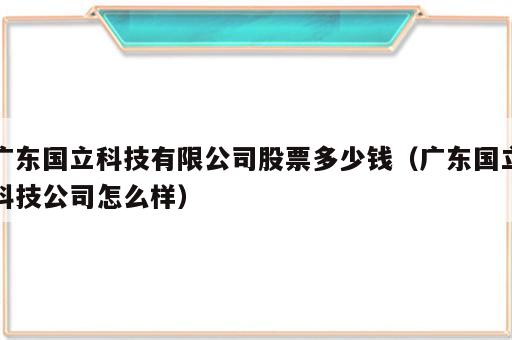 广东国立科技有限公司股票多少钱（广东国立科技公司怎么样）