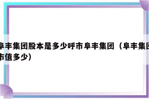 阜丰集团股本是多少呼市阜丰集团（阜丰集团市值多少）