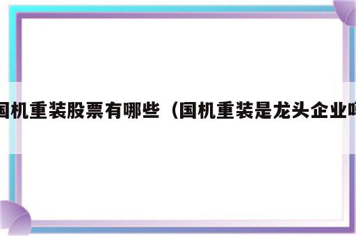 国机重装股票有哪些（国机重装是龙头企业吗）