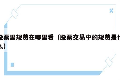 股票里规费在哪里看（股票交易中的规费是什么）