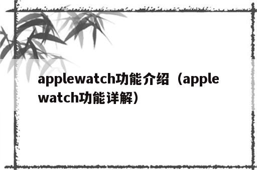 applewatch功能介绍（applewatch功能详解）
