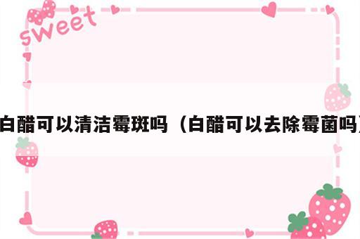 白醋可以清洁霉斑吗（白醋可以去除霉菌吗）