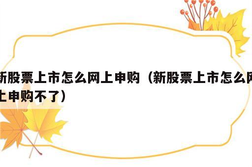新股票上市怎么网上申购（新股票上市怎么网上申购不了）