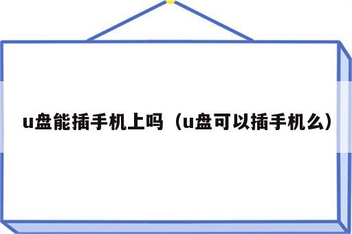 u盘能插手机上吗（u盘可以插手机么）