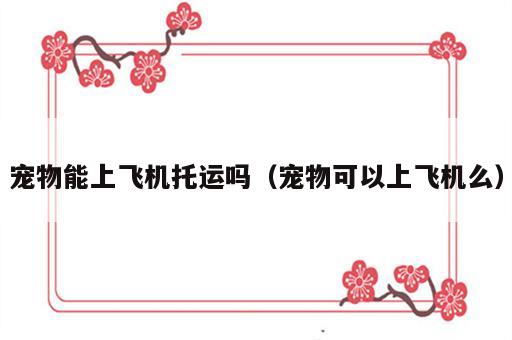 宠物能上飞机托运吗（宠物可以上飞机么）