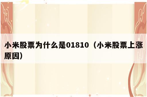 小米股票为什么是01810（小米股票上涨原因）