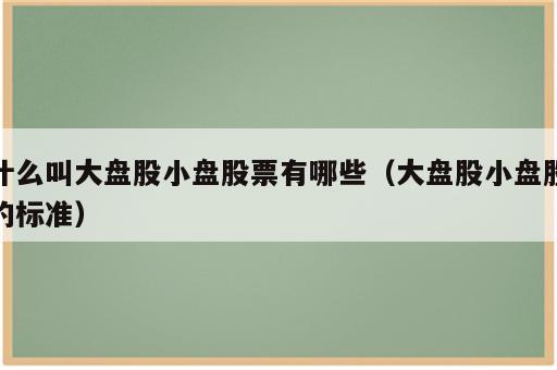 什么叫大盘股小盘股票有哪些（大盘股小盘股的标准）