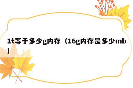 1t等于多少g内存（16g内存是多少mb）