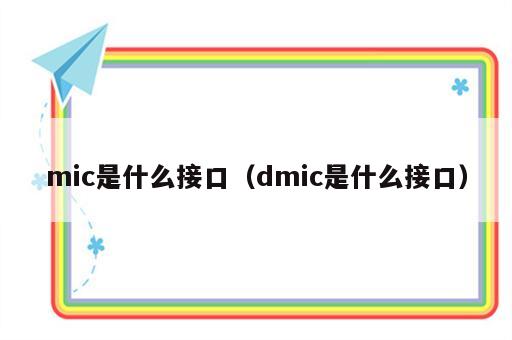 mic是什么接口（dmic是什么接口）