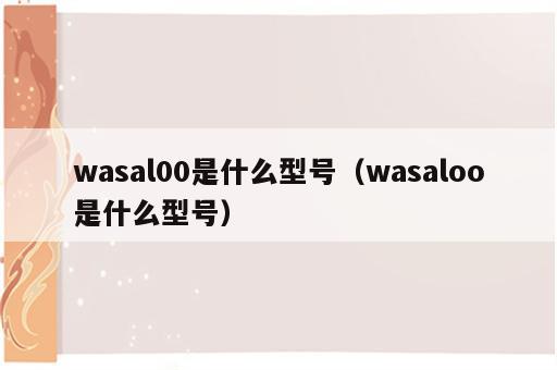 wasal00是什么型号（wasaloo是什么型号）