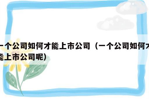 一个公司如何才能上市公司（一个公司如何才能上市公司呢）