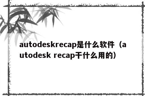 autodeskrecap是什么软件（autodesk recap干什么用的）
