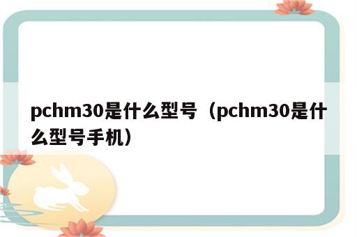 pchm30是什么型号（pchm30是什么型号手机）