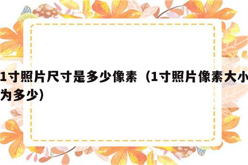 1寸照片尺寸是多少像素（1寸照片像素大小为多少）