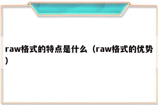 raw格式的特点是什么（raw格式的优势）