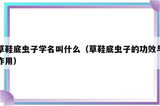 草鞋底虫子学名叫什么（草鞋底虫子的功效与作用）