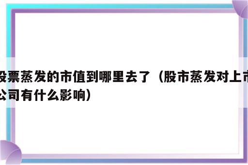 股票蒸发的市值到哪里去了（股市蒸发对上市公司有什么影响）