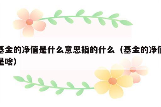 基金的净值是什么意思指的什么（基金的净值是啥）