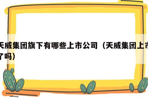 天威集团旗下有哪些上市公司（天威集团上市了吗）