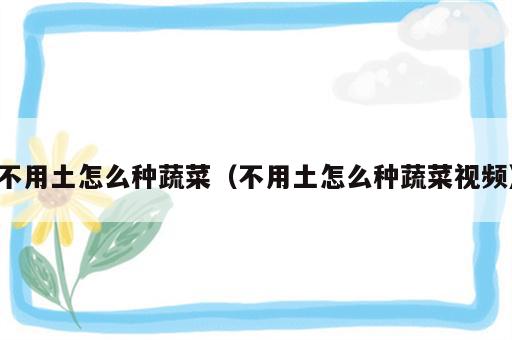不用土怎么种蔬菜（不用土怎么种蔬菜视频）
