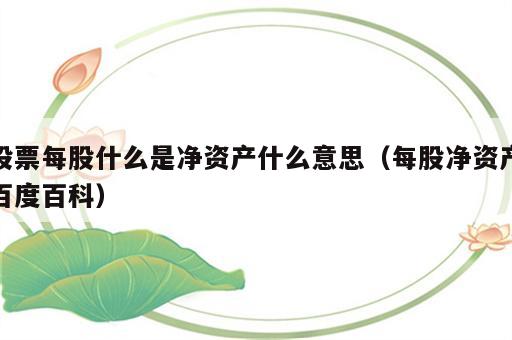 股票每股什么是净资产什么意思（每股净资产百度百科）