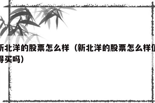 新北洋的股票怎么样（新北洋的股票怎么样值得买吗）