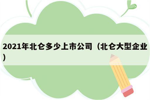 2021年北仑多少上市公司（北仑大型企业）
