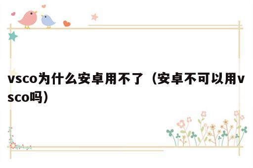 vsco为什么安卓用不了（安卓不可以用vsco吗）