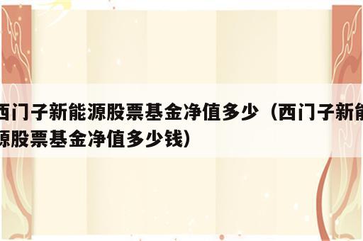 西门子新能源股票基金净值多少（西门子新能源股票基金净值多少钱）