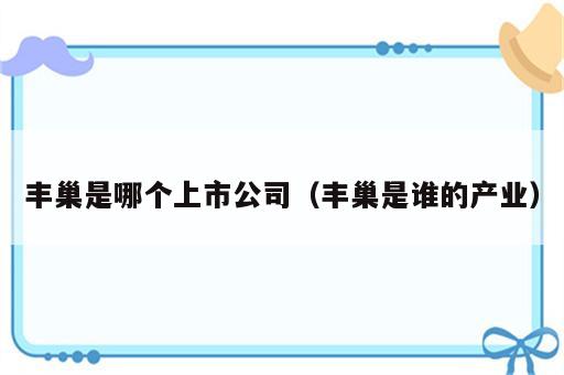 丰巢是哪个上市公司（丰巢是谁的产业）