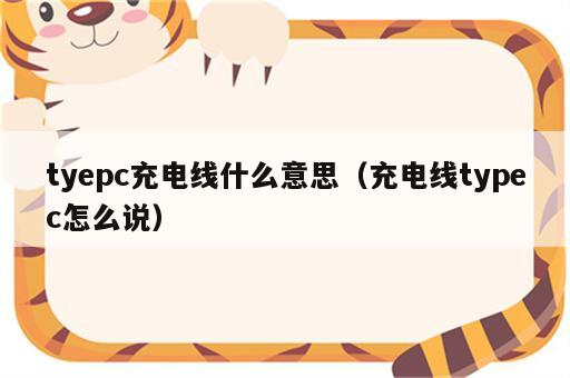 tyepc充电线什么意思（充电线typec怎么说）