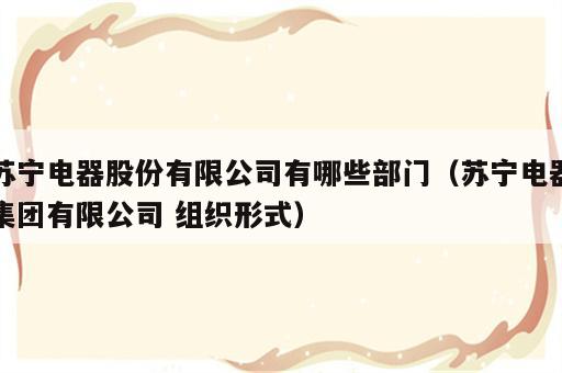 苏宁电器股份有限公司有哪些部门（苏宁电器集团有限公司 组织形式）