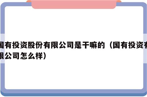 国有投资股份有限公司是干嘛的（国有投资有限公司怎么样）