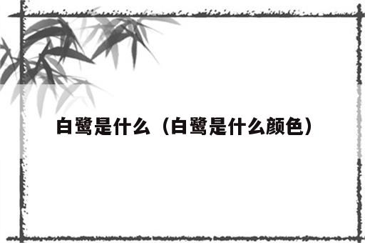 白鹭是什么（白鹭是什么颜色）