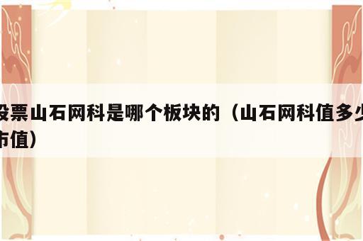股票山石网科是哪个板块的（山石网科值多少市值）