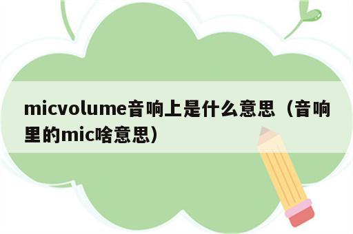 micvolume音响上是什么意思（音响里的mic啥意思）